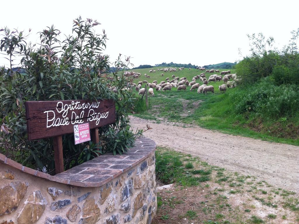فيلا Piane Del Bagno ساتورنيا المظهر الخارجي الصورة