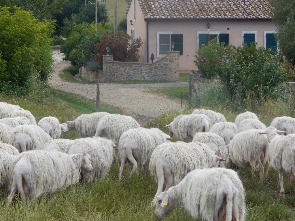 فيلا Piane Del Bagno ساتورنيا المظهر الخارجي الصورة