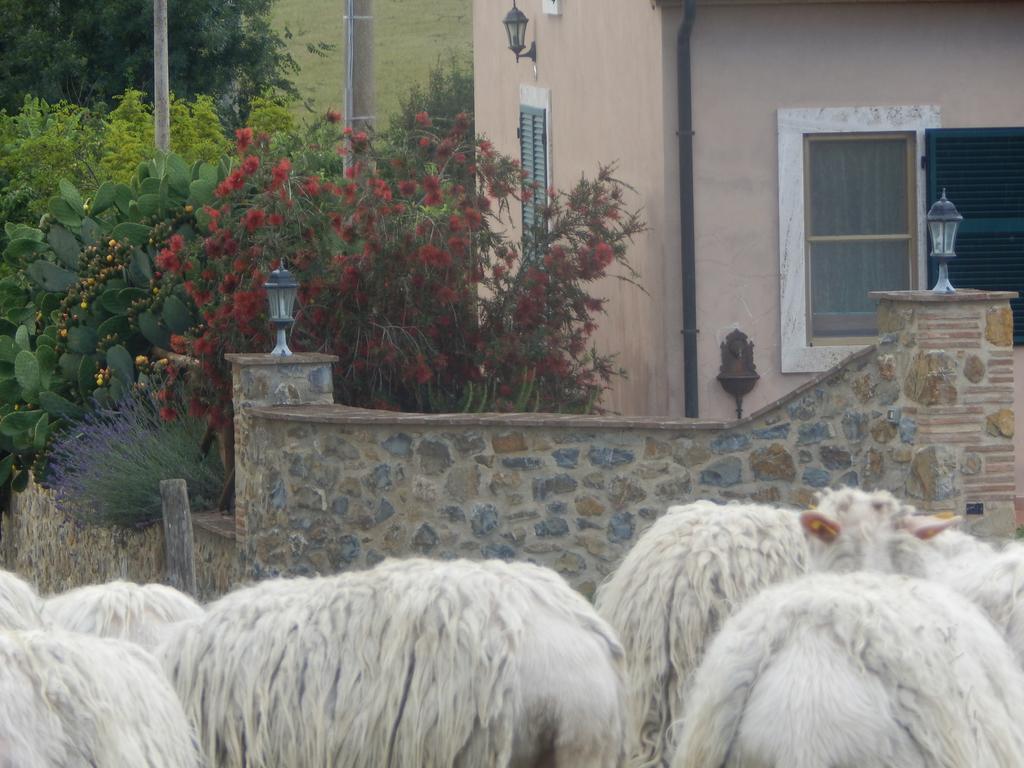 فيلا Piane Del Bagno ساتورنيا المظهر الخارجي الصورة