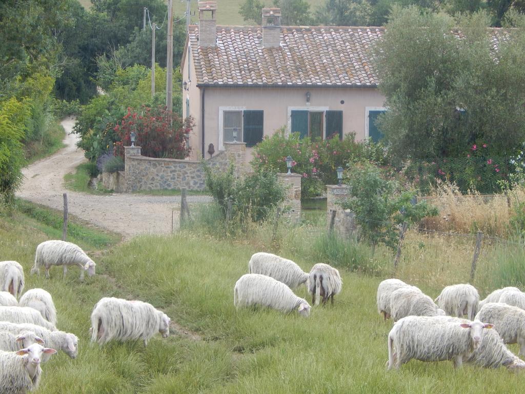 فيلا Piane Del Bagno ساتورنيا المظهر الخارجي الصورة
